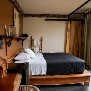 Otel Bufo Alvarius, Tulum